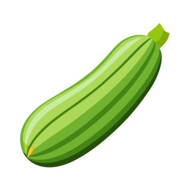 taze sebze kabağı çizgi film vektör illüstrasyon grafik tasarımı