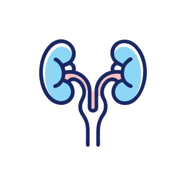 izole böbrek simgesi biçimi tasarım vektörü simgesi
