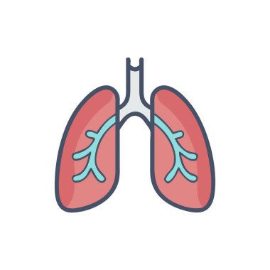 Akciğer organı izole vektör simgesi