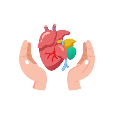 Kalp organı simgesi olan eller