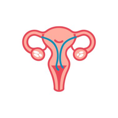 kadın uterus rengi düz simge