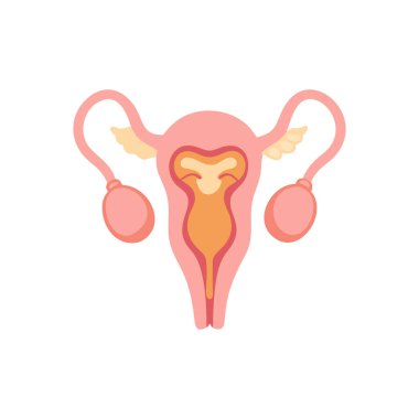 Dişi üreme rahim taşıyıcı ikonu. Çizgi film çizimi. Web tasarımı, logo, uygulama ve mobil için beyaz arkaplanda izole edildi