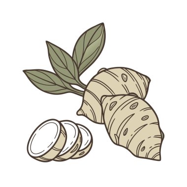 Bir dizi el çizimi illüstrasyon. Beyaz arkaplanda izole nesneler.