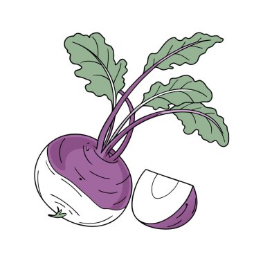 sağlıklı taze sebze mor çizgi filmi