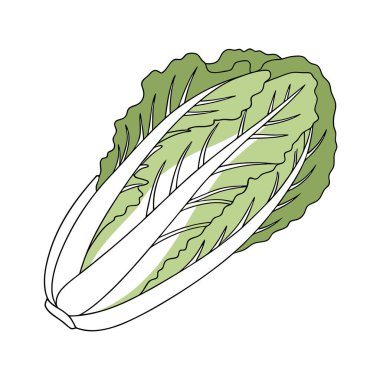 taze marul yaprakları izole edilmiş simge