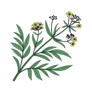 El çizimi çiçekler ve bitki yaprakları, karalama vektörü çizimi.