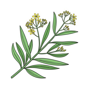 karikatür el çiçekli bitki çizdi.