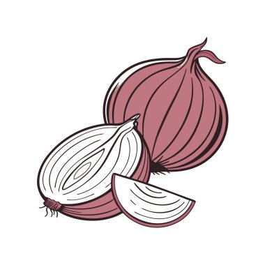 Soğan sebzesi taze izole edilmiş ikon