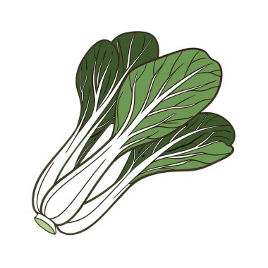 yeşil ıspanak yaprakları. organik taze sebzeler, yiyecek, vejetaryen yiyecekler.