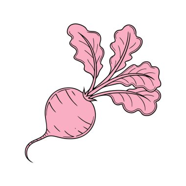 Vektör çizimi. Beyaz arkaplanda pembe lale