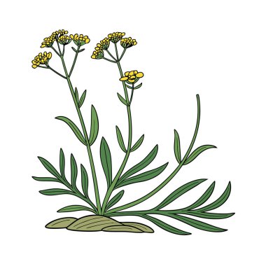 Bir bitkinin çizgi film çiçeği.