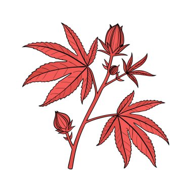 El çizimi kırmızı akçaağaç yaprakları