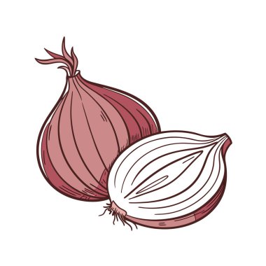 Soğan ve sarımsak izole edilmiş ikon