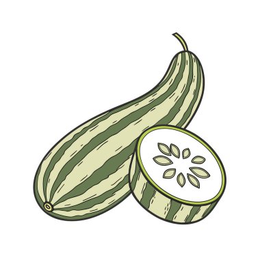 Yaprakları izole edilmiş taze salatalıklar.