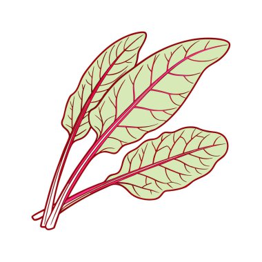Doğal yapraklı taze yeşil yaprak vektör çizimi tasarımı