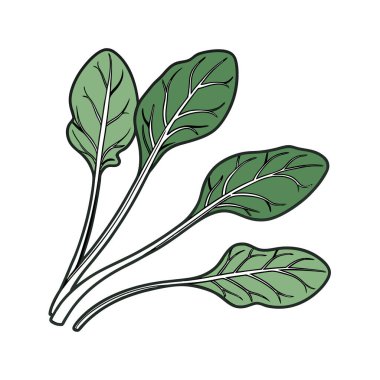 taze sebze yaprağı simgesi
