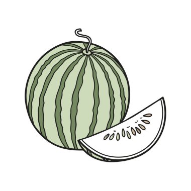 El çizimi karpuz, vektör çizimi