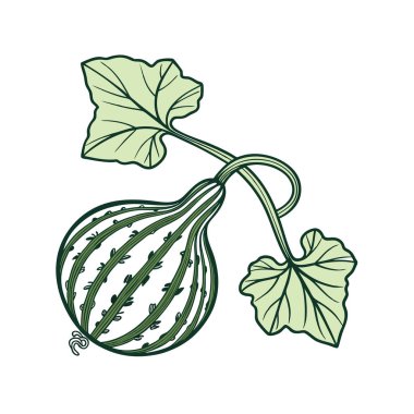 Yeşil bitkinin vektör botanik çizimi. Yapraklar ve çiçekler.