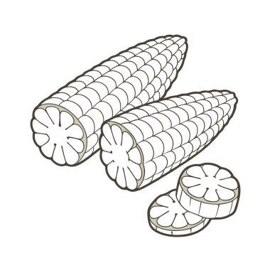 Mısır vektör kümesi