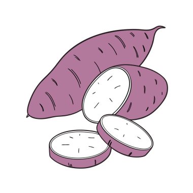 Bahçe vektör çiziminde taze incir meyveleri