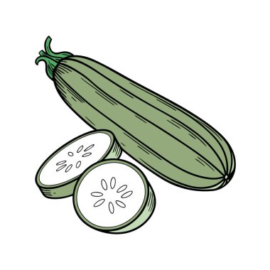 Çizgi film salatalığının vektör çizimi