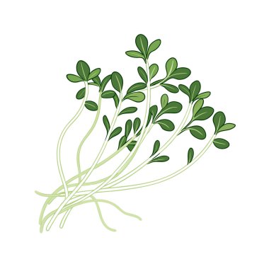 El yapımı taze yeşil otlar ve baharatlar.