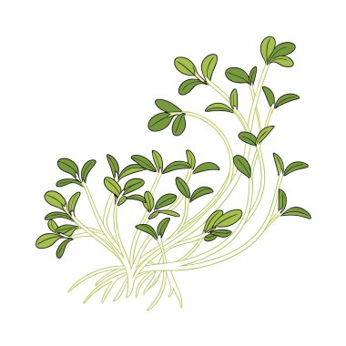 Yaprak bitki simgesi olan dal