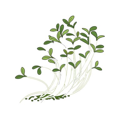 yeşil bitkilerin vektör kümesi.