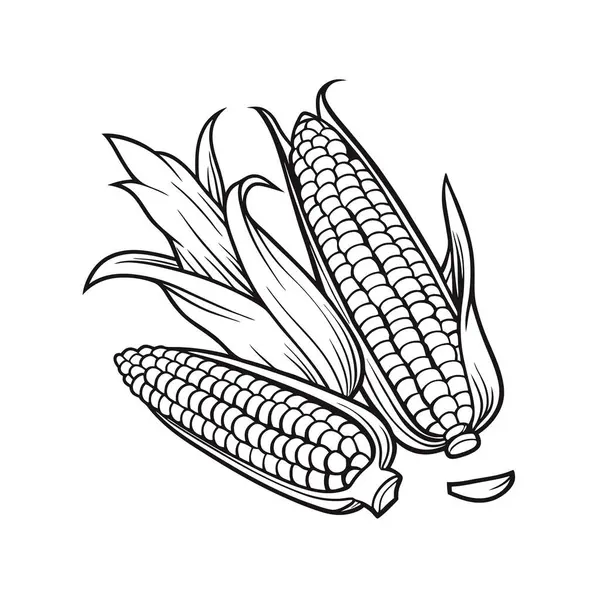 Tohumlu mısır koçanı. tasarım için siyah ve beyaz vektör çizimi