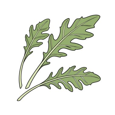 bir bitkinin vektör çizimi