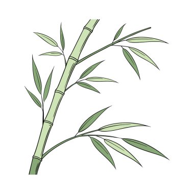 Bambu dalı izole edilmiş ikon vektör çizimi desing