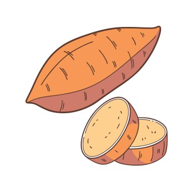 vektör eli çizilmiş patates