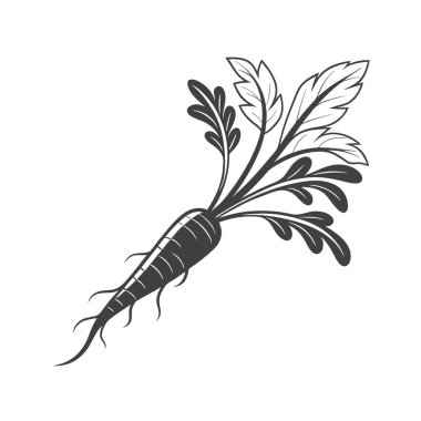 Siyah çizgili bir havucun vektör çizimi.