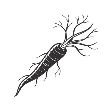 Beyaz arka planda siyah renkli havuç ikonu. sebze ve meyve sembolü stok vektörü illüstrasyonu.