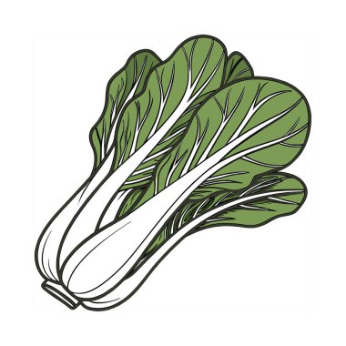 Beyaz arka plana yeşil lahana resmi çizdim.