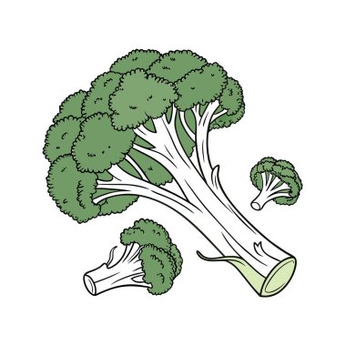 Yapraklı taze brokoli.