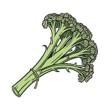 brokoli, sebze, organik gıda, sağlıklı gıda, vejetaryen, diyet, vejetaryen, sağlıklı, beslenme, sağlıklı beslenme, beslenme, diyet.