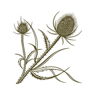 çiçek ve yapraklar bitki tasarımı