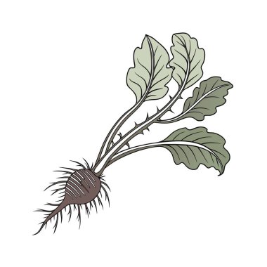 Ağacın bir dalının el çizimi..