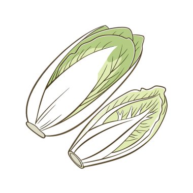 Yeşil yaprağın vektör çizimi. Çiçek elementi. Botanik yaprağı. izole edilmiş botanik çizim ögesi.