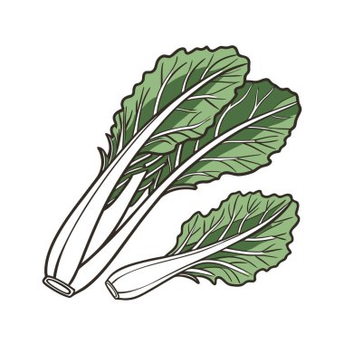 Beyaz arkaplanda yeşil yapraklar ve bitkiler