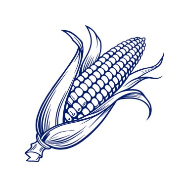 Mısır vektör simgesi. Mısır ikonu logosu izole edildi. mısır simgesi sembolü.