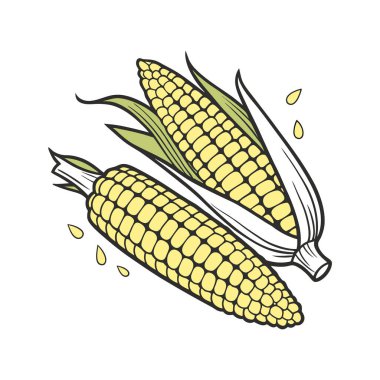 vektör çizimi mısır izole