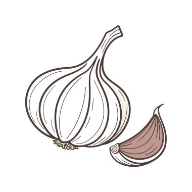 Soğan sebzesi taze sebze vektör çizimi