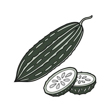 Vektör el, dilimlenmiş kireç parçasının tamamını çizmiş.