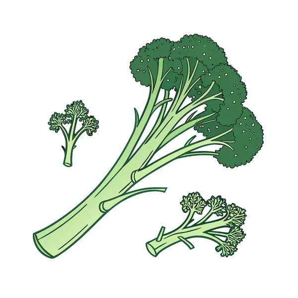 Brokoli, havuç vektörü. Sebze vektör çizimi. brokoli simgesi.