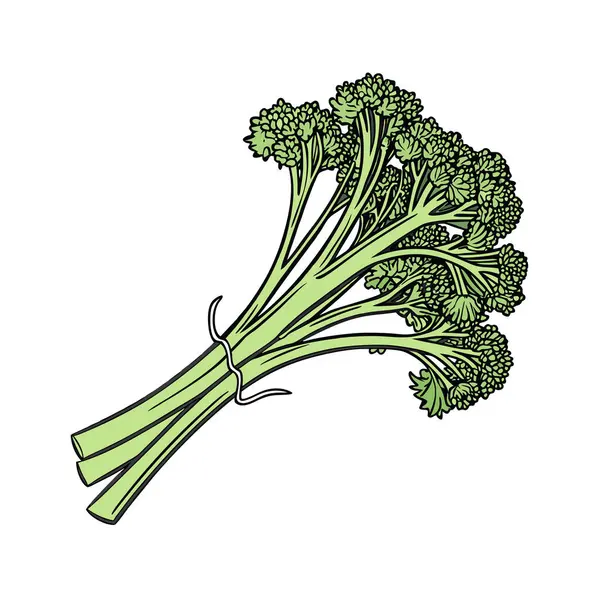 Beyaz arkaplanda izole edilmiş yeşil lahana vektörü