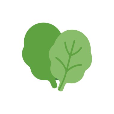 Taze yeşil brokoli sebze simgesi