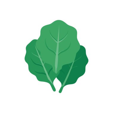 Taze yeşil yaprak Doğal sebze izole ikonu