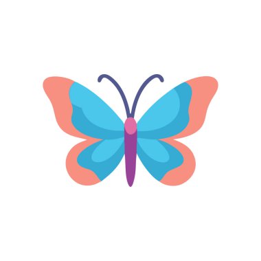 izole kelebek düz simgesi